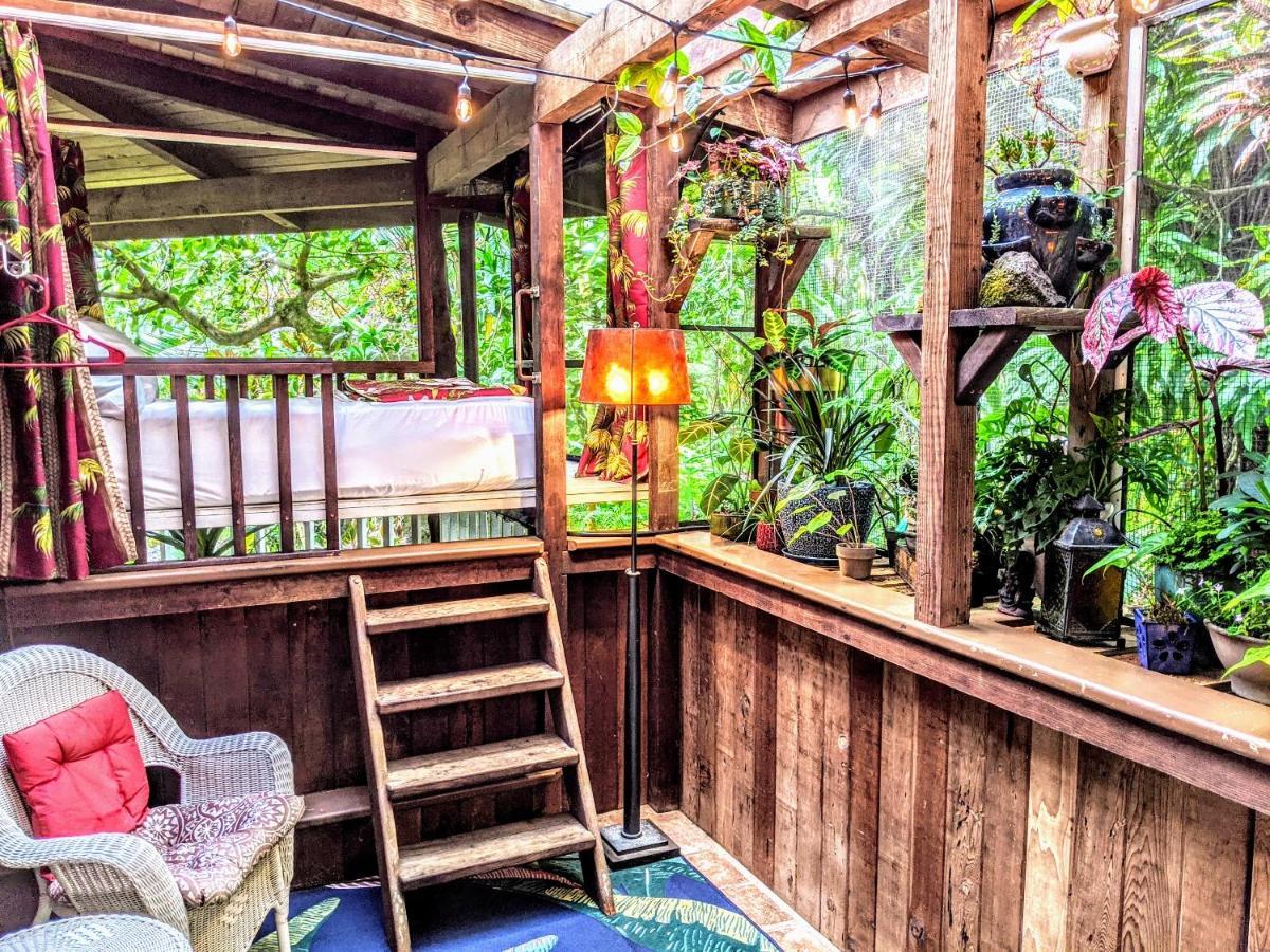 Kehena Mauka Nui Club Lgbtqia+ Clothing Optional Bed and Breakfast Pahoa Δωμάτιο φωτογραφία