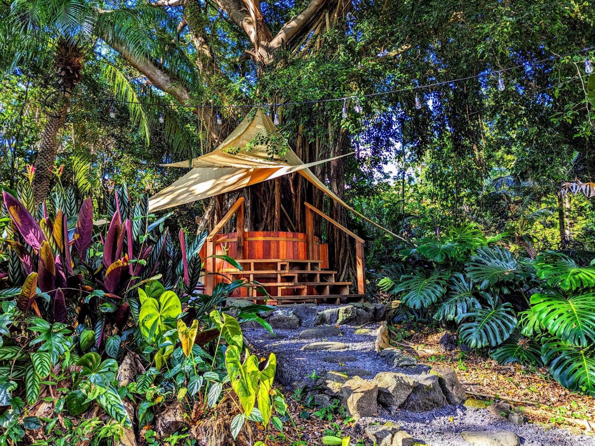 Kehena Mauka Nui Club Lgbtqia+ Clothing Optional Bed and Breakfast Pahoa Εξωτερικό φωτογραφία