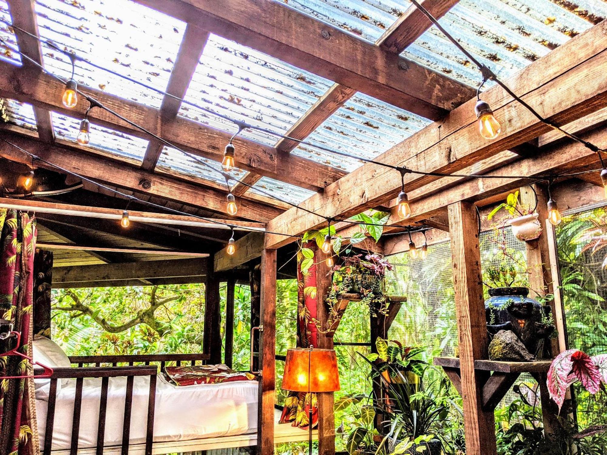 Kehena Mauka Nui Club Lgbtqia+ Clothing Optional Bed and Breakfast Pahoa Δωμάτιο φωτογραφία